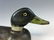 Long Island Mallard Drake Duck Decoy - 5