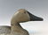 Michigan Hen Canvasback Duck Decoy - 5