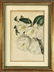 19th C. Hand Colored Botanical Prints, (4pc) - 4