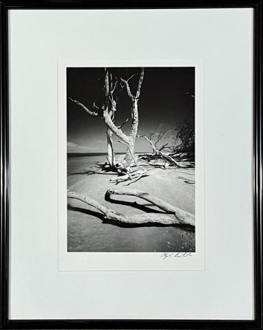 Photograph, "Cayo Costa Island", Clyde Butcher: Black and White Photograph, Clyde Butcher, (1941- American Photographer). Photograph is signed lower right corner in ink, "Clyde Butcher" Reverse with gallery label with title "Cayo Costa Island #2" w