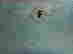 item-131038457=4