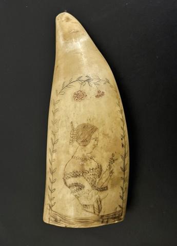 Early 19th C. Polychrome Scrimshaw Whales Tooth: Early 19th C. Polychrome Scrimshaw Sperm Whale Tooth. Obverse decorated with a young woman in profile holding a rose framed with vine and floral border. Reverse decorated with flower and urn. Scrimsha