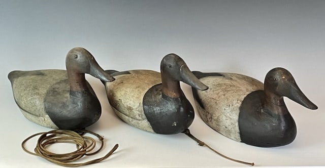 String of Antique Canvas Back Duck Decoys (3pc): Three Matching Hand Carved and Painted Canvas Back Duck Decoys. Glass eyes, base with weights and rigging. Good condition with wear, neck repair, measures: 8.25" H x 17.75" L x 7.5" W.