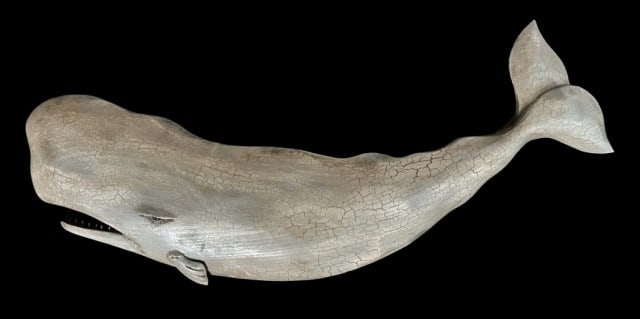 Hand Carved, Painted Sperm Whale, Roger Mitchell: Hand Carved and Painted Wooden Sperm Whale. Crafted by master carver Roger C. Mitchell. Detailed carving with inset glass eyes and hand painted aged surfaces, reverse artist signed, measures: 11.75" H
