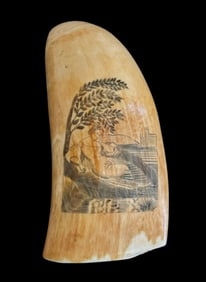 Large 19th C. Scrimshaw Sperm Whale Tooth