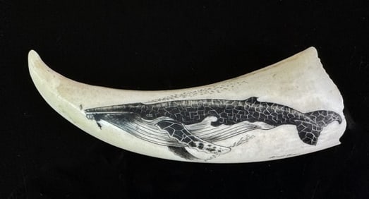 Scrimshaw Whales Tooth, Frank B.