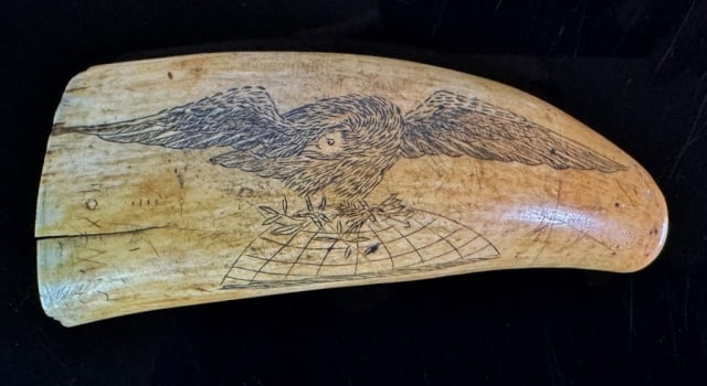 Early 19th C. Scrimshaw Whales Tooth, S. Wixon: Early 19th C. American Scrimshaw Sperm Whale Tooth, Signed "S. WIXON". Obverse with Federal style eagle clutching arrows and olive branch, surmounting globe. Reverse decorated with flowers. Good condi