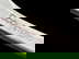 item-209354808=5