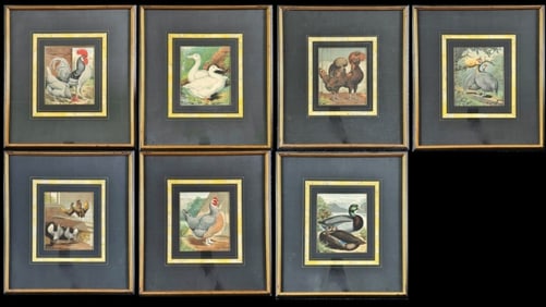 19th C. English Lithographs of Fowl (7pc)