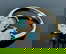 item-209354938=1