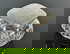 item-209355001=2