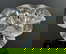 item-209355001=5