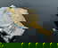 item-209355032=8