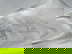 item-209355056=4