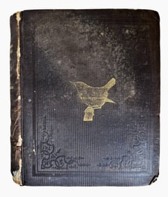 Book, Zoology Of New York: Birds, DeKay 1844