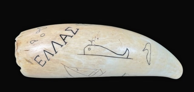 19th C Scrimshaw Sperm Whale Tooth (1 of 5)