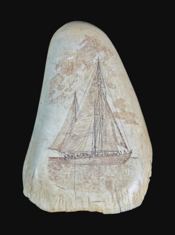 Large Scrimshaw Whales Tooth, WHOI, R.V. Atlantis (1 of 7)