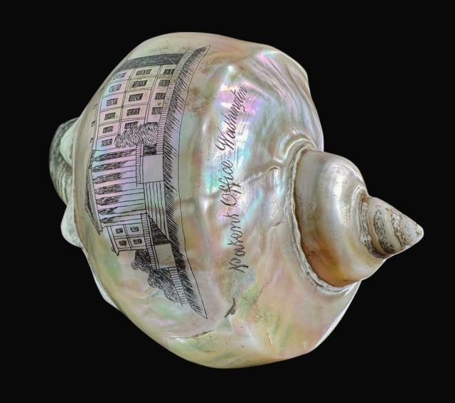 Antique Scrimshaw Shell, U.S. Patent Office (1 of 7)