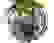 item-40093156=3