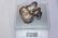 Set of Four Chinese Silver Ingots - 6
