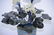 Chinese Jade Tree - 4