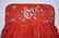 Qing Chinese Embroidered Skirt - 2