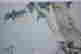 item-56403447=4