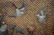 Republic Chinese Jade Inlaid Lacquered Hongmu Cabinet - 6