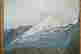 item-80161134=3