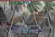 item-80161165=2