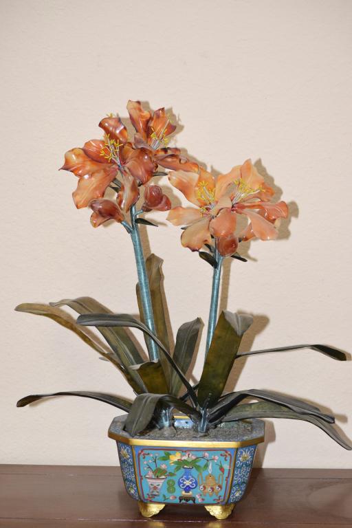 Large Chinese Jade Tree (1 of 4)