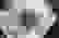 item-90910988=4