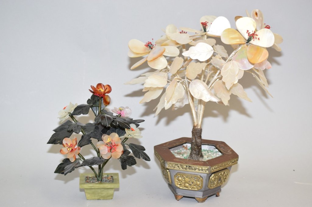 Chinese Jade Tree and Mother-of-Pearl Tree: Chinese jade tree and mother-of-pearl tree. 15in.