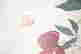 item-126678582=3