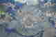 item-135987322=3