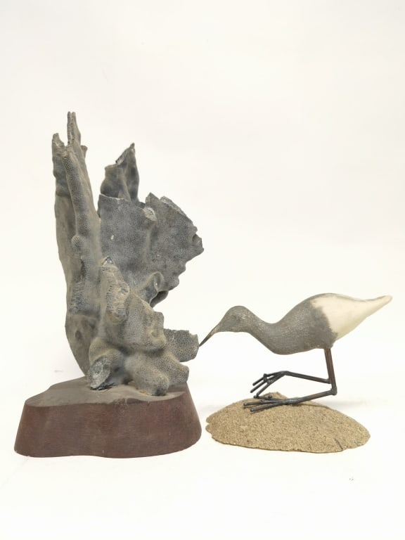 Blue Coral Specimen and Bird Art (1 of 2)