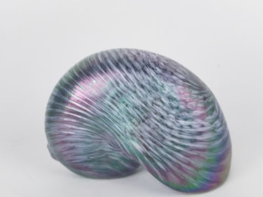 Vintage Iridescent Swirl Glass Seashell