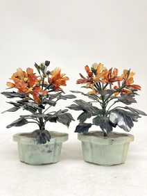 Pr. of Chinese Jade Tree in Jade Pot
