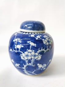 19-20th C. Chinese Porcelain B&W Plum Jar