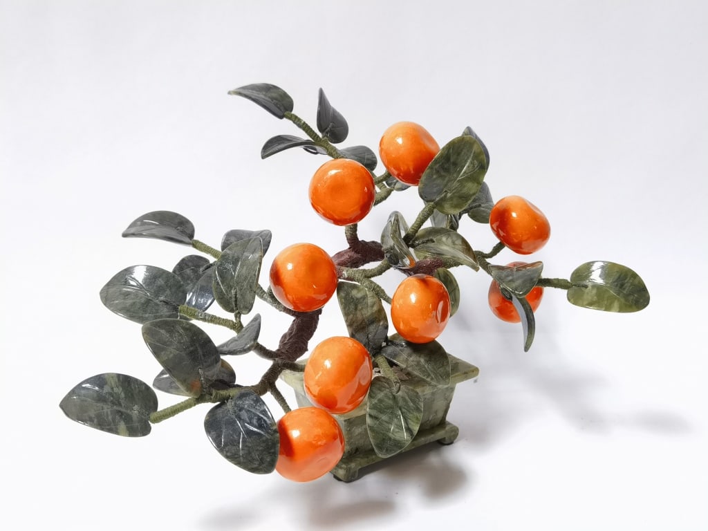 Chinese Jade Orange Tree - 4