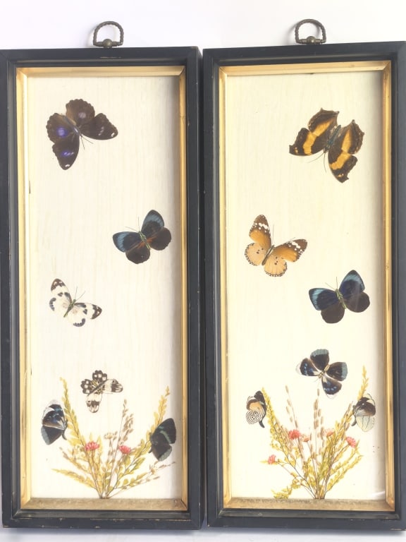 Pr. of Framed Botanical & Taxidermy Butterfly Pane: Pr. of Framed Botanical & Taxidermy Butterfly Panels, 17.25in by 7.25in by 1.75in