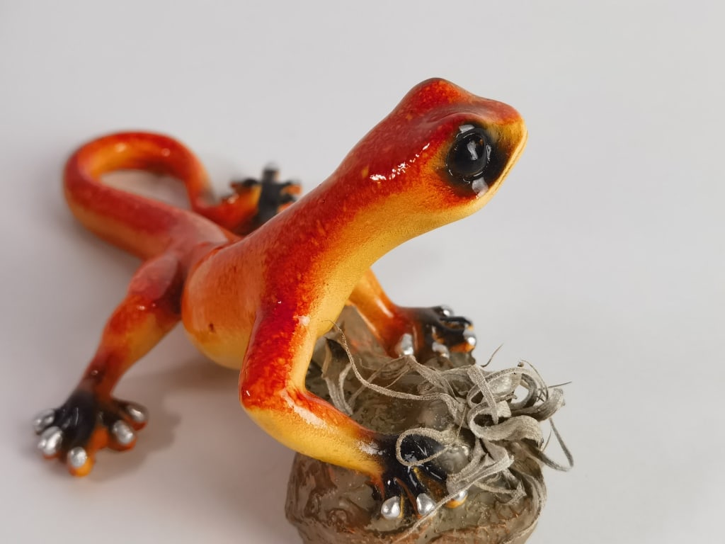 Polychrome Glazed Salamander Figurine - 4