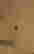 item-40232937=3