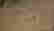item-40232937=5