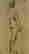 item-40236133=2