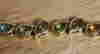 item-40236713=2