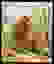 item-54846777=2