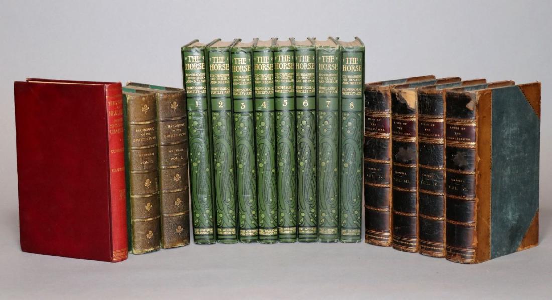 [Shelf-Lot, Horses, Flora, History] (1 of 4)