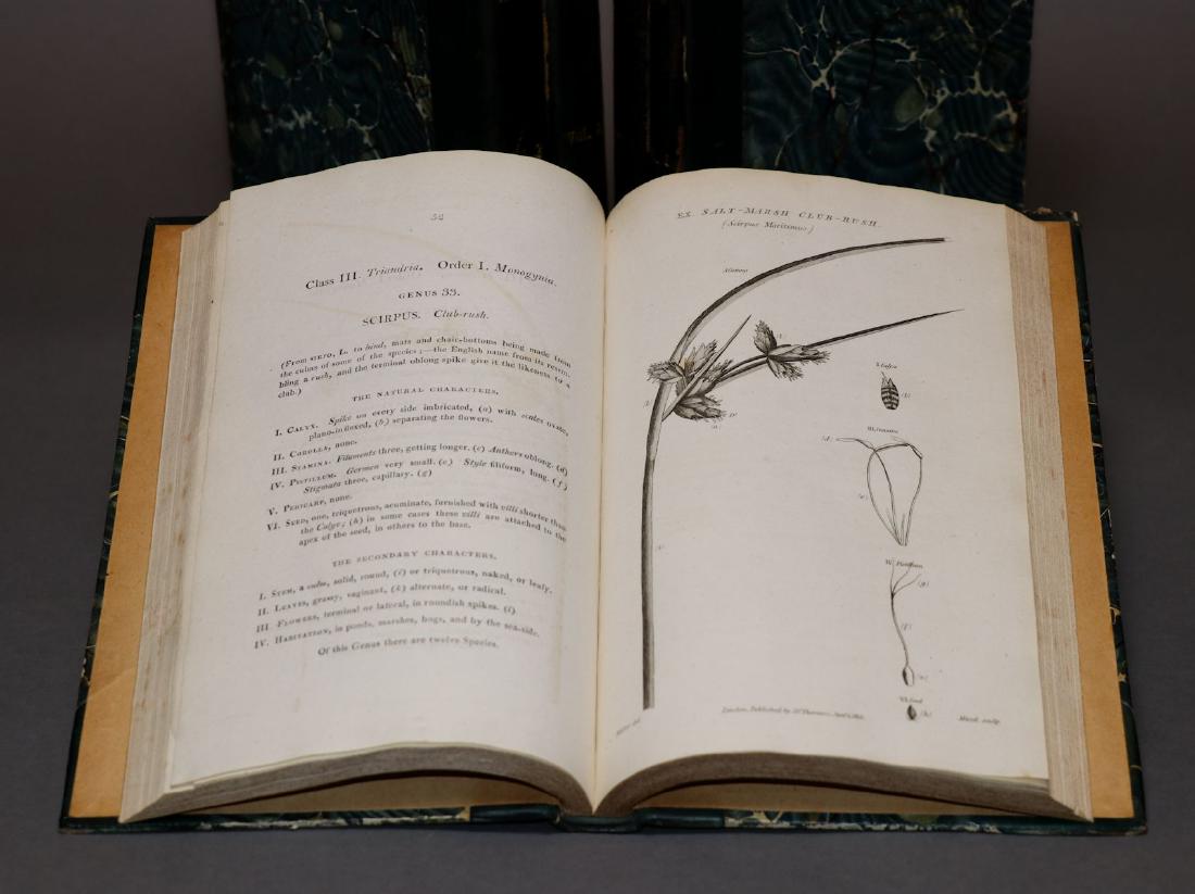 Thornton. The British Flora, 1812: Thornton, Robert John. THE BRITISH FLORA; OR, GENERA AND SPECIES OF BRITISH PLANTS…. London: Whiting, 1812. 5 vol. 9.5" x 5.75". Contains 347 plates and 53 engraved tables. Dark green morocco over m