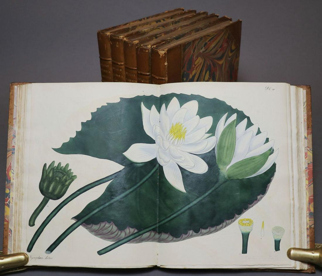 [Botany, Color Plates]  Botanist's Repository (1 of 9)